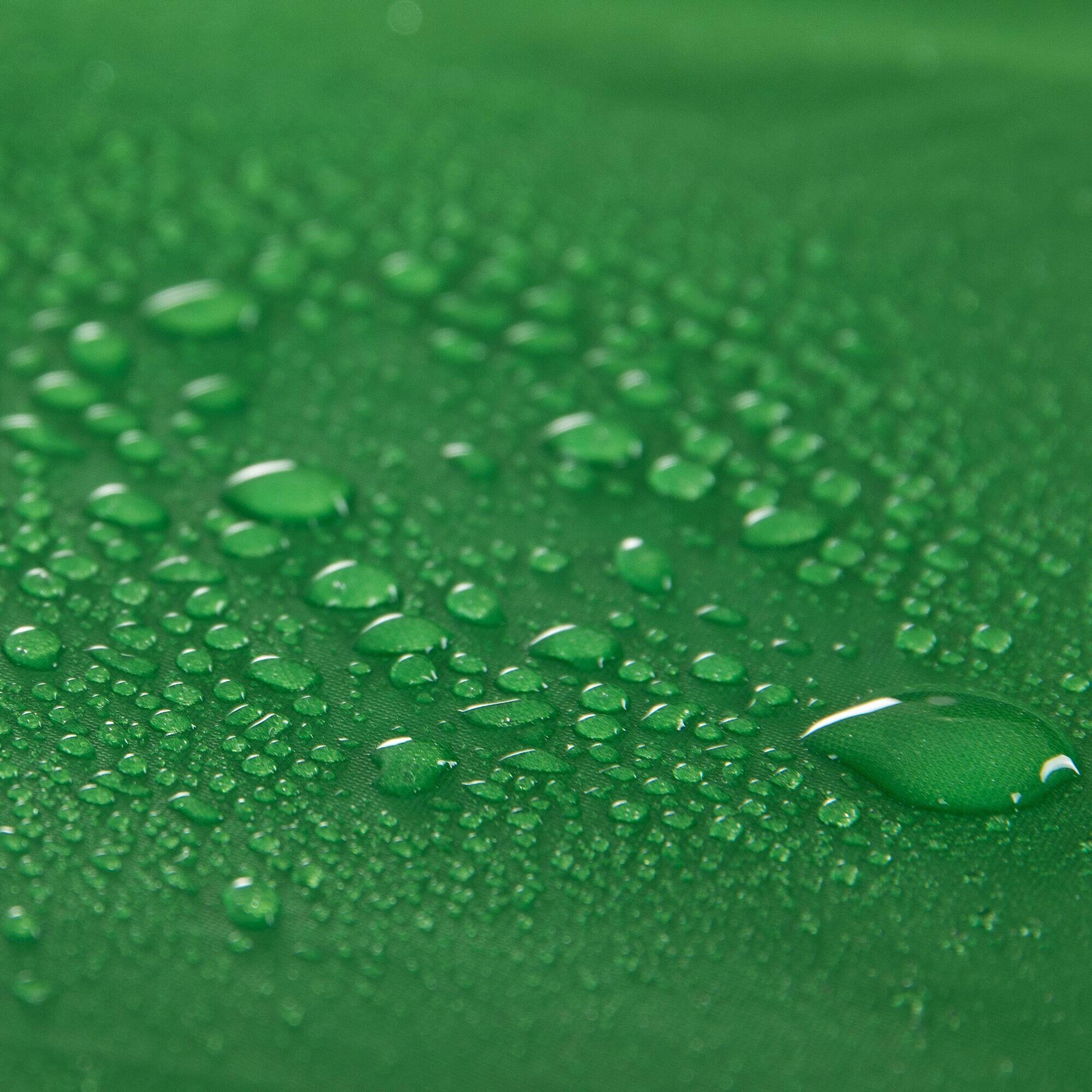 Regatta Kivu 4-Man Vis-A-Vis Adults' Camping Tent 4 Regatta Kivu 4-Man Vis-A-Vis Adults' Camping Tent - Image 2