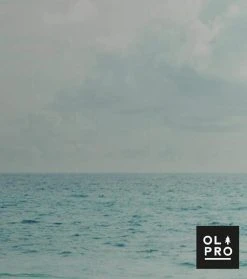 OLPRO The Beach 4 Pole Compact Windbreak 7 OLPRO The Beach 4 Pole Compact Windbreak -Quechua Shop k51c7330662782026271f81340922205c